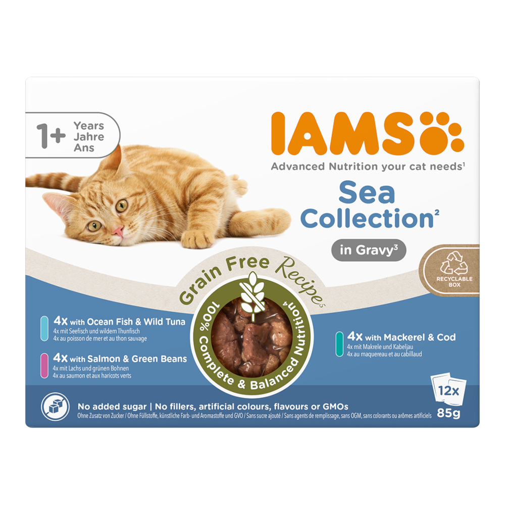 IAMS Advanced Nutrition Grain Free Sea Collection in Sauce - Sparpaket: 24 x 85 g IAMS Advanced Nutrition Grain Free Sea Collection in Sauce - Sparpaket: 24 x 85 g von Iams