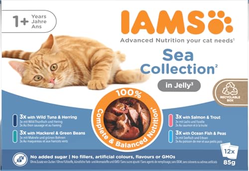 IAMS Delights Sea Collection Katzenfutter Nass - Multipack mit Fisch Sorten (Lachs, Thunfisch, Makrele, Seefisch) in Gelee, Nassfutter für Katzen ab 1 Jahr, 12 x 85g von Iams