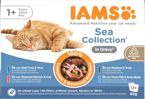 IAMS Delights Sea Collection Katzenfutter Nass - Multipack mit Fisch Sorten (Lachs, Thunfisch, Makrele, Seefisch) in Sauce, Nassfutter für Katzen ab 1 Jahr, 12 x 85g von Iams