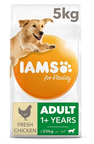 IAMS Hundefutter trocken mit Huhn - Trockenfutter für erwachsene Hunde ab 1 Jahr, geeignet für große Hunde, 5 kg von Iams