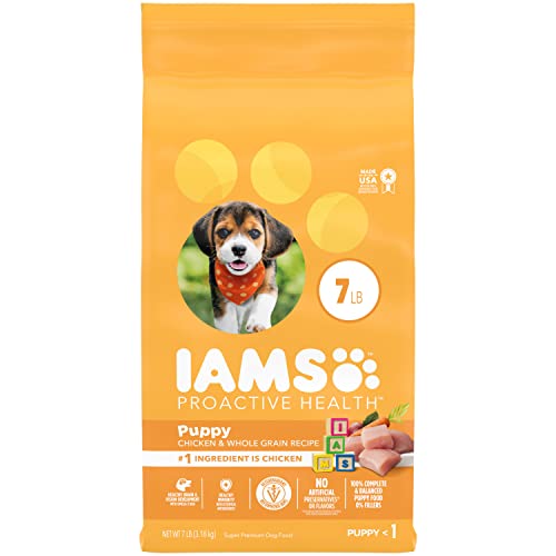 Iams Proactive Health Smart Puppy Dry Puppy Food 7 Pounds by von Iams