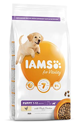 Iams Vitality Große Rassen Huhn Welpen Trockenfutter (2 kg) (kann variieren) von Iams