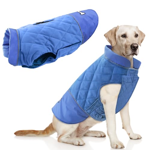 Idepet Winddichter Hundemantel Winter Warme Jacke,Anti-Schneeanzug Hundebekleidung für kleine mittelgroße Hunde mit Geschirrloch Blau Rosa Grau (Blau, L) von Idepet