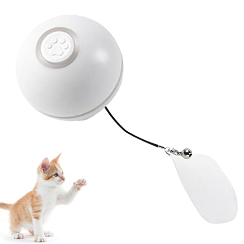 Idezek Elektronisches Rolling Ball Katzenspielzeug - Kitten Indoor Interactive Moving Ball Spielzeug - Selbstdrehendes Haustier-Übungsspielzeug für kleine Katzen und Hunde von Idezek