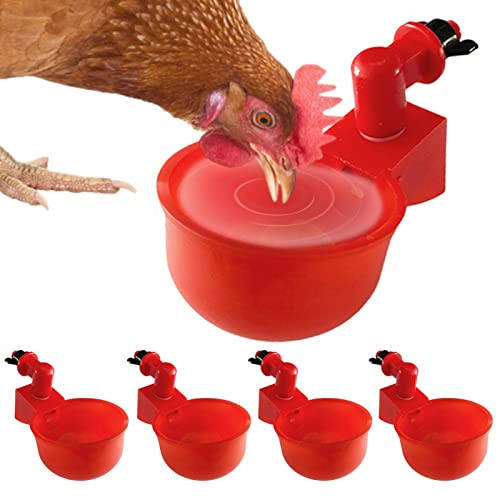 Idezek Gießbecher Huhn | 5 Stück Wasserbecher Automatischer Wasserbecher | Geflügel-Wasserspender-Kit Hühner-Wasserbecher Geflügel-Tränkeschüssel für Hühner, Enten, Vögel, Puten usw von Idezek