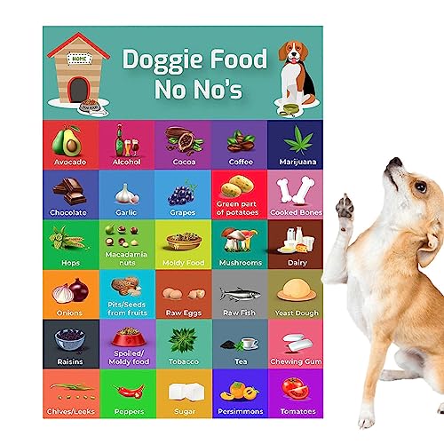 Idezek Liste sicherer Hundefutter | Safe Guide Hundefutter-Magnet, platzsparend, bunt, leicht zu lesen,Tragbares Haustierzubehör mit Bildern für Tierhandlungen, Kühlschränke, Tierkliniken von Idezek