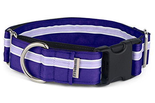 If It Barks - 3,8 cm Martingale-Halsband für Hunde - Schnellverschluss-Schnalle - verstellbar - Nylon - stark und bequem - ideal für Training - Made in USA - Large - Grape Crush von If It Barks