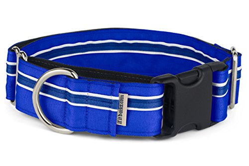 If It Barks - 3,8 cm Martingale-Halsband für Hunde - Schnellverschluss Schnalle - verstellbar - Nylon - stark und bequem - ideal für Training - Made in USA - Medium, Blueberry von If It Barks