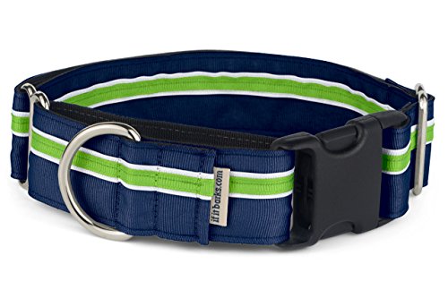 If It Barks - 3,8 cm Martingale-Halsband für Hunde – Schnellverschluss-Schnalle – verstellbar – Nylon – stark und bequem – ideal für Training – Made in USA – Medium, Finley von If It Barks