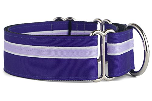 If It Barks - 3,8 cm Martingale-Halsband für Hunde - Verstellbar - Nylon - Stark und bequem - Ideal für das Training - Made in USA - Groß, Grape Crush von If It Barks