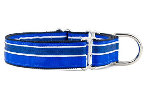 If It Barks Martingale-Halsband für Hunde, 2,5 cm, verstellbar, Nylon, hergestellt in den USA, Blaubeere, Größe S (27,9 cm – 38,1 cm) von If It Barks