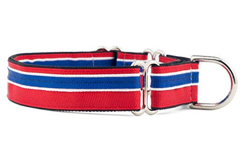 If It Barks Martingale-Halsband für Hunde, 2,5 cm, verstellbar, Nylon, hergestellt in den USA, Größe M, patriotisch von If It Barks