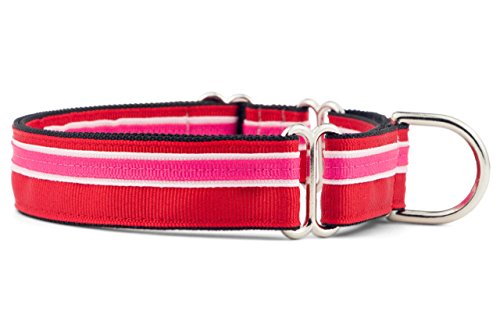 If It Barks Martingale-Halsband für Hunde, 2,5 cm, verstellbar, Nylon, hergestellt in den USA. von If It Barks