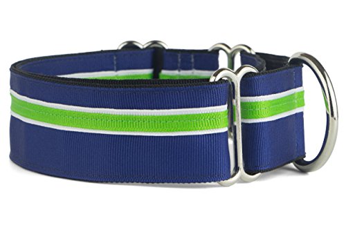 If It Barks - Martingale-Halsband für Hunde, 3,8 cm, verstellbar, Nylon, robust und bequem, ideal für Training, hergestellt in den USA, Medium Finley von If It Barks