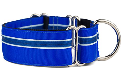 If It Barks - Martingale-Halsband für Hunde, 3,8 cm, verstellbar, Nylon, robust und bequem, ideal für Training, hergestellt in den USA, groß, Blaubeere von If It Barks