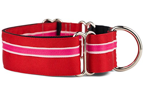 If It Barks - Martingale-Halsband für Hunde, 3,8 cm, verstellbar, Nylon, robust und bequem, ideal für Training, hergestellt in den USA, klein, Shortcake von If It Barks