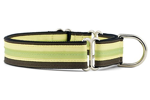 If It Barks Wenn es bellt 2,5 cm Martingale Hundehalsband für Hunde, verstellbare Nylon, USA Made, Medium (15"-22"), Key Lime Pie von If It Barks