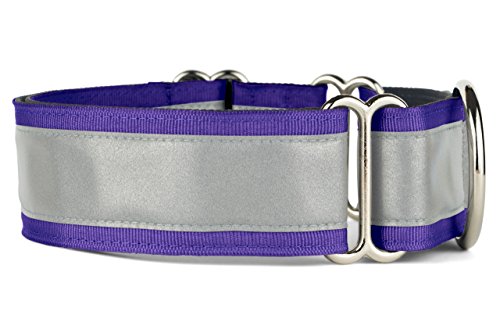 If It Barks Wenn es bellt 3,8 cm Reflektierende Martingale Hundehalsband für Hunde, Verstellbar, Made in USA, Small (11"-15"), Violett von If It Barks