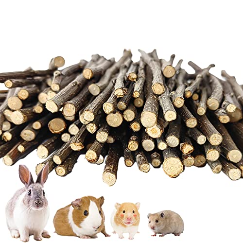 Ifan 500 g Apfelbaum-Sticks, natürliche Apfelbaumzweige, kleine Tiere, Backenzahn-Kauspielzeug, 15 cm Zähne-Schleifstab für Chinchilla, Meerschweinchen, Kaninchen, Eichhörnchen, Hamster, Hase von Ifan