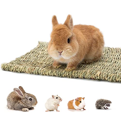 Ifan 6 Stück Grasmatte für Kaninchen Hase, gewebte natürliche Heumatte für Kleintiere, Kauspielzeug für Meerschweinchen, Hamster, Chinchilla, Eichhörnchen, Igel von Ifan