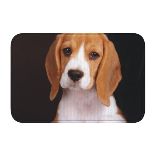 IguaTu ovely Haustier-Hunde-Bodenmatte, Beagle, Kristall-Samt, 40 x 60 cm, rutschfeste Badezimmermatte, geeignet für Badezimmer, Schminktisch, Ferienhaus von IguaTu