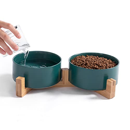 Ihoming Katzennäpfe für Welpen, Keramik, Futter- und Wassernäpfe, 2 x 3/4 Tassen, für den Innenbereich, mit Holz-/Eisenständer (Grün + Grün & Holzständer) von Ihoming