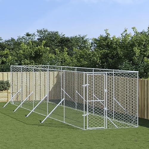 Iiaky Outdoor-Hundezwinger Silbern 2x10x2 m Verzinkter Stahl Hundehaus HundekäFig Hundezwinger Outdoor HundehüTten FüR DraußEn von Iiaky