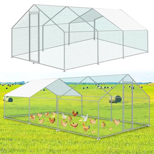 Ikodm Hühnerstall Freilaufgehege XXL 3x6x2m mit Schloss, Tiergehege Verzinkter Stahl Hühnerhaus Freigehege Outdoor Geflügelstall, für Hühnerkäfig Kleintiere von Ikodm