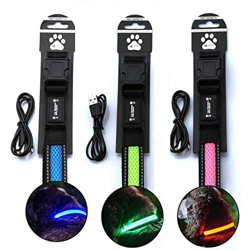 Illuminated Apparel Wiederaufladbares Hundehalsband mit LED-Beleuchtung, Blau, M/L (41–51 cm) von Illuminated Apparel