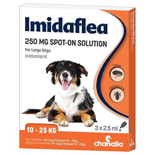 ImidaFLEA Spot On Flohkur für große Hunde, 250 mg, 3 Pipetten von ImidaFLEA