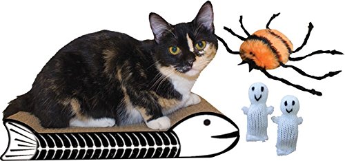 Fishbone Halloween Katzenkratzer und Spielzeug-Set von Imperial Cat