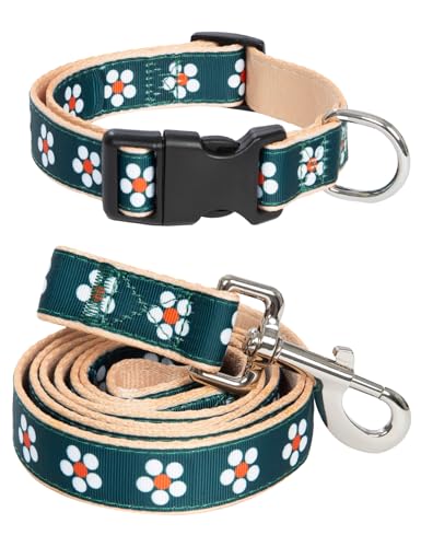 Impoosy Hundehalsband mit Blumenmuster und Blumen-Leine, verstellbar, für kleine, mittelgroße und große Halsbänder, 2 Stück (L) von Impoosy