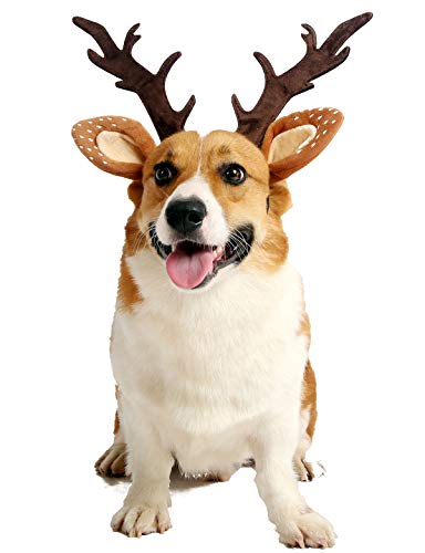 Impoosy Pet Deer Kostüm Hut Frohe Weihnachten Hund Geweih Stirnbänder Gummiband Einstellbare Rentier Kappe Haar Kopfbedeckung Zubehör (klein) von Impoosy