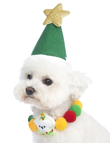 Impoosy Weihnachtskostüm für Hunde und Katzen, Weihnachtsmannmütze mit Weihnachtsschal, für kleine Hunde, Weihnachtsmann-Kleidung (S, Grün), 2 Stück von Impoosy