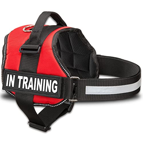 Service Hund in Training Weste mit Reflektierende Schlaufe und abnehmbarem Patches,Heavy Duty Nylon Riemen und Tragegriff,7 Größen, 5 Farben von industriellen Puppy, Fits Girth 27-33.5", hellrot von Industrial Puppy