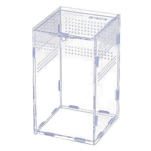 Inkoby Terrarium Aus Acryl für Reptilien - Transparente Aufzuchtbox, Insektenfütterungskäfig mit Baumgehege von Inkoby