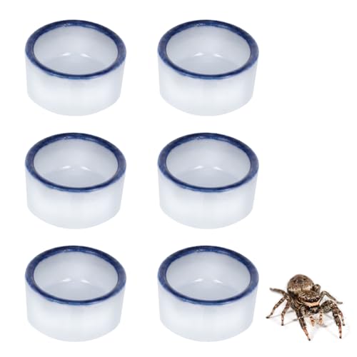 Mini-Wassernapf mit Spinne, Tarantel, Mikro-Keramik-Wasserschale für Spinnen, Tarantel, Tausendfüßler, kleine Reptilien, Skorpion, Cricket, Schnecke, Manti Käfer, 6 Stück von InnoHHustle