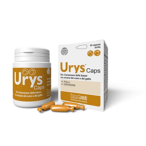 Innovet URYS® Caps - Für das Wohlbefinden der unteren Harnwege bei Hund und Katze - 30 Kapseln von Innovet