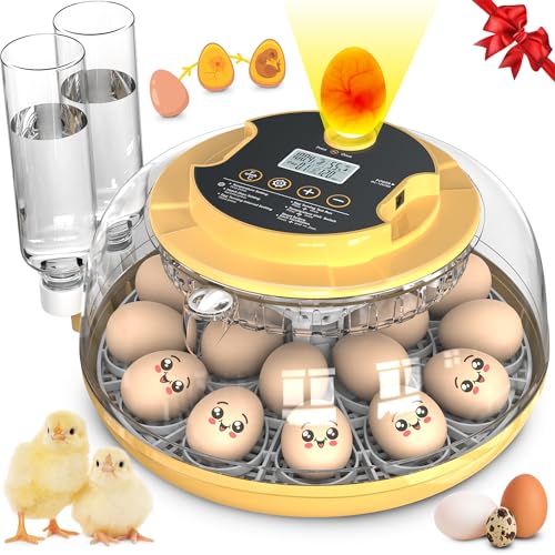 18 Eier Brutkasten mit automatischer Eierdrehung und Feuchtigkeitskontrolle, 360° Ansicht Huhn Brutkasten für Bruteier mit Temperaturanzeige, Autoaufzeichnung, Eierkerze, Extra 2 Wasserflaschen & 2 von Innvello