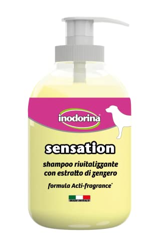 Shampoo Inodorina Sensation Revitalisierend 300 ml von Inodorina