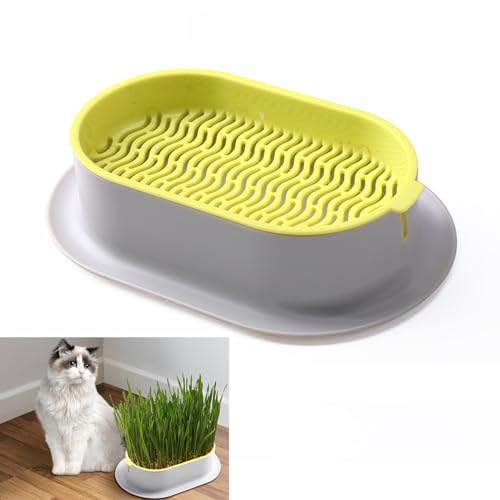 Inscrip Katzengras-Pflanzgefäß, Hydroponische Grasbox für Katzen, Keimschale für Anzucht von Innen oder Außen, Doppelschicht Separates Design, Katzengras-Wachstumsset (Grau + Fluoreszierendes Grün) von Inscrip