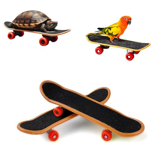 Intatikoo Mini-Skateboard-Scooter-Zubehör für Bartagamen, Papageien, Reptilien, Kleintiere von Intatikoo