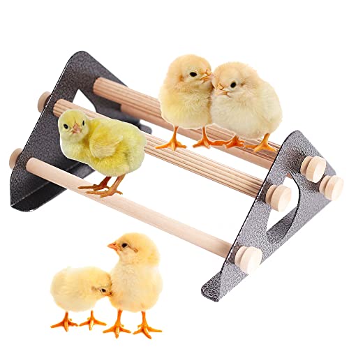 Interfashioner Chick Barch, Durable Natural Wooden Roosting Bar for Coop and Broder, Training Chicken Barch for Mini Baby Chicks, Metal Frame Easy to Assemble and Clean, Fun Toys for Chick von Interfashioner