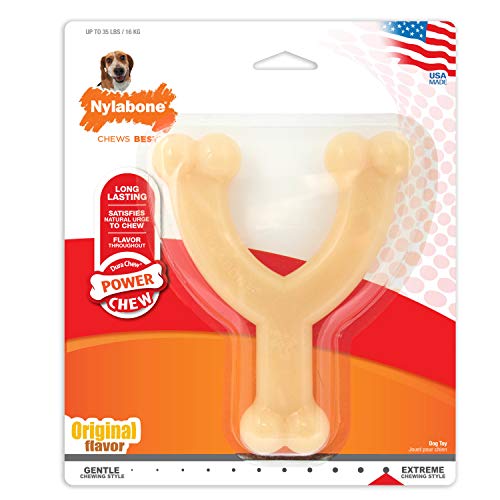 Interpet 999906 Nylabone - Dura Chew Kauknochen, Y-förmig, Wolf, M von Nylabone