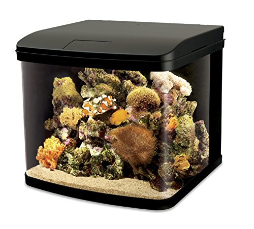 Interpet LED Lighting River Reef Aquarium, Glas, 48 Liter von Interpet