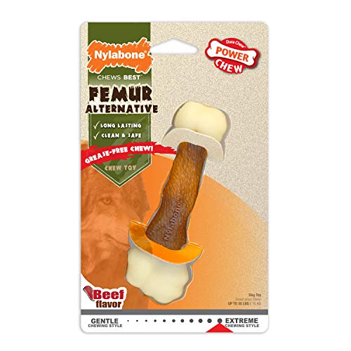 Interpet NFR001PEU Nylabone Kauspielzeug für extreme Kauer, Oberschenkelknochen - Rindergeschmack, M von Nylabone