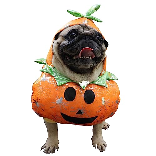 Invaxe Hunde Katze Halloween Cosplay-Kostüm, Neuheit Halloween Weihnachtskostüme für kleine mittelgroßen großen Hunden Katzen Für Party Welpenkostüme beängstigende gruselige Bekleidung (03-XL) von Invaxe