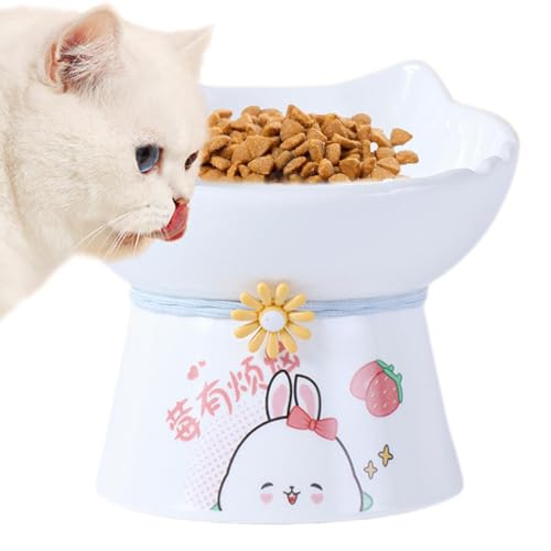 Ceramic Raised Cat Bowls, Elevated Cat Food Dish with Tilt, Non Slip Cat Feeding Station, Anti Vomit Indoor Cats Dining Accessories 5.63x3.7x5.04 for Indoor Cats, Kittens von Iouyjiu