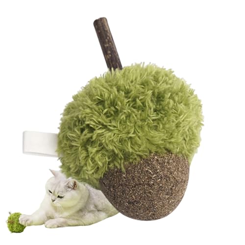 Iouyjiu Catnip Toy, Chew Ball, Catnip Plüsch, Kauspielzeug, mit weichem Plüschmaterial, vielseitig einsetzbar als Schlüsselkette, für interaktives Spielen und Kauen geeignet, Grün von Iouyjiu