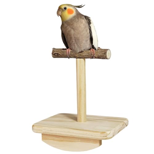 Parrot Perch, Birdstangen für Käfig, natürliches , dekorativ, Vogelschwinge, leicht, 24 cm von Iouyjiu